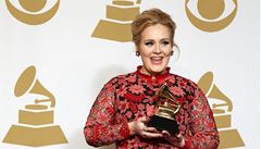 Zpvaka Adele získala soku Grammy za sólové popové vystoupení Set fire to the rain.