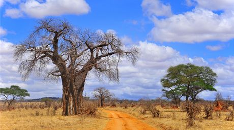 Národní park Ruaha