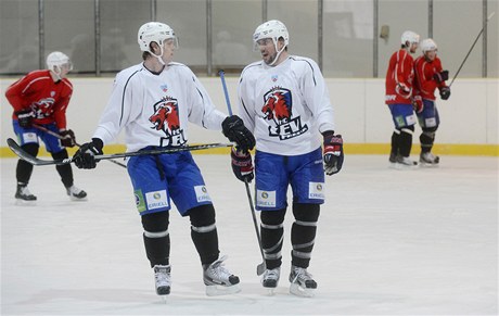 Hokejisté Lva Praha Nicklas Danielsson (vlevo) a obránce Nathan Oystrick