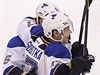 esk hokejista St. Louis Blues Vladimr Sobotka