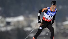 �eský sdru�ená� Miroslav Dvo�ák