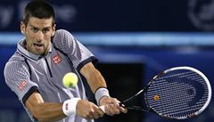 Srbský tenista Novak Djokovi�