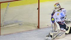 Rytí�i Kladno - Pardubice. Autor prvního gólu Kladna Miloslav Ho�ava (vlevo) se raduje se spoluhrá�i