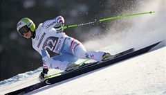 Rakuanka Fenningerov vyhrla domc slalom, Paulthov neuspla