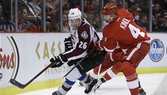 �eský hokejista Detroitu Red Wings Jakub Kindl (vpravo) a Paul Stastny z Colorada Avalanche