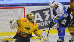 Plze� - Litvínov. Litvínovský branká� Pavel Francouz (vlevo) a Nicholas Johnson z Plzn�