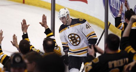 eský hokejista Bostonu Bruins David Krejí