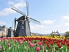 Nizozemsko - ilustraní foto