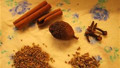 Dobré ko�ení je základ