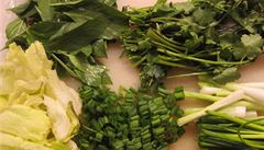 Bylinky nesmíme zanedbat