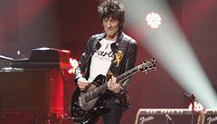 Kytarista skupiny Rolling stones Ronnie Wood