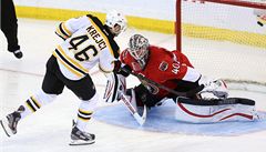 eský hokejista Bostonu Bruins David Krejí (vlevo) a branká Robin Lehner z Ottawy Senators