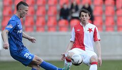 Slavia Praha - Slovan Liberec. Jií Fleiman z Liberce (vlevo) a Milan Nitrianský ze Slavie