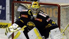 Litvínovský branká Pavel Francouz