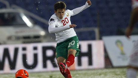 Fotbalista Bulharska Aleksandar Tonev