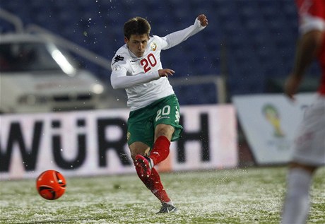 Fotbalista Bulharska Aleksandar Tonev