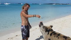 Moravan na plavbě Karibikem: plavající prasata i conch mušle