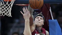 Basketbalista Miami Heat Chris Andersen