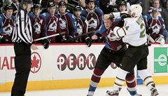 eský hokejista Colorada Avalanche Jan Hejda (vlevo) a Eric Nystrom z Dallasu Stars