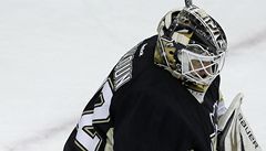 eský gólman Pittsburghu Penguins Tomá Vokoun 