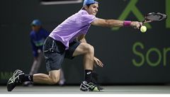 Tommy Haas na turnaji v Miami