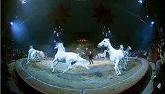 Cirkus - ilustraní foto
