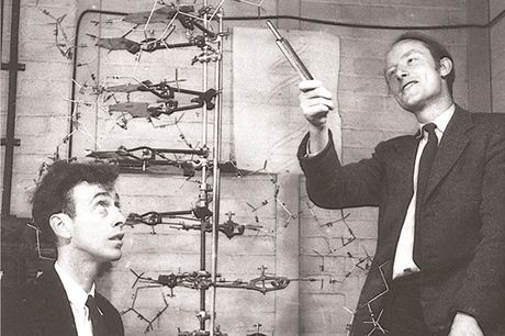 Francis Crick (vpravo) a James D. Watson