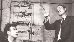 Francis Crick (vpravo) a James D. Watson