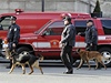 Policisté se psy cvienými pro vyhledávání výbunin.