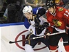 esk hokejista St. Louis Blues Vladimr Sobotka (vlevo) a Sheldon Brookbank z Chicaga Blackhawks