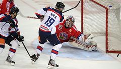 eská republika - Slovensko. Zleva Michal Miklík ze slovenského týmu a eský branká Jakub Ková