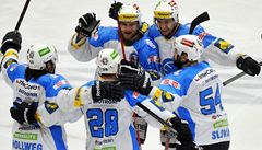 Plze� slaví branku.