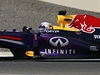 Velká cena Bahrajnu. Sebastian Vettel z Red Bullu.