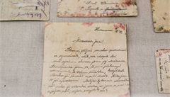 Dob�e �itelný dopis od Kubi�ovy ctitelky