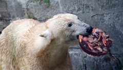 Dort nejvíce zaujal maminku Coru