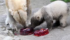 Ani mlá�ata se nenechala p�ipravit o sv�j podíl