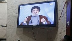 Hizballh slibuje, e nenech Srii padnout, potvrdil jeho vdce