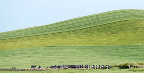 Cyklistický peloton na Giro d'Italia