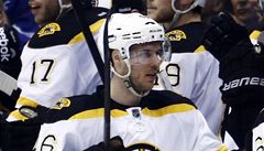 David Krej�í p�i zápase Bostonu.