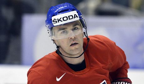 eský hokejista Marek idlický