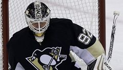 eský branká hokejist Pittsburghu Tomá Vokoun