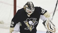 eský gólman hokejist Pittsburghu Penguins Tomá Vokoun