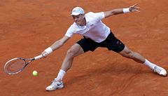 eský tenista Tomá Berdych