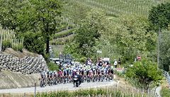 Peloton na Giro d'Italia