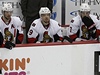 Hokejista Ottawy Milan Michálek (9) a jeho spoluhrái jsou smutní, e nepostoupili do finále Východní konference NHL.