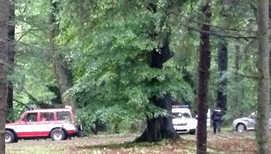 Snímek z průhonického parku, kde na běžkyni spadl podmáčený strom.
