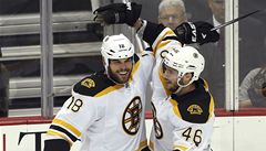 esk hokejista Bostonu Bruins David Krej (vpravo) a jeho spoluhr Nathan Horton