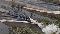 �eský ch�est pod vodou