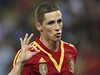 panlský fotbalista Fernando Torres slaví gól