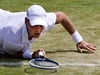 Tomá Berdych postoupil do 3. kola Wimbledonu.